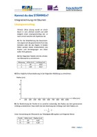 STM_Sek2_Analysis_Loesung_DK.pdf